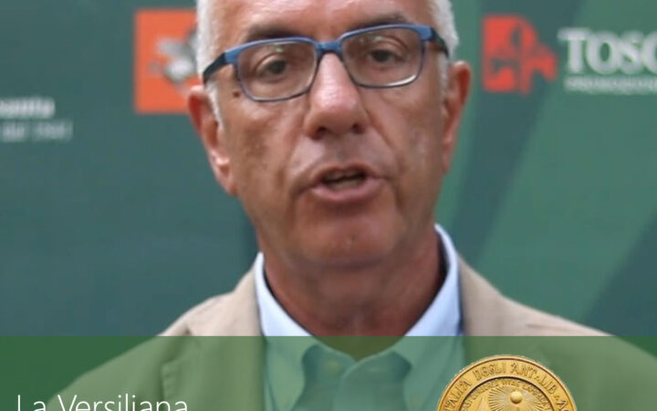 Prof. Fulvio Conti